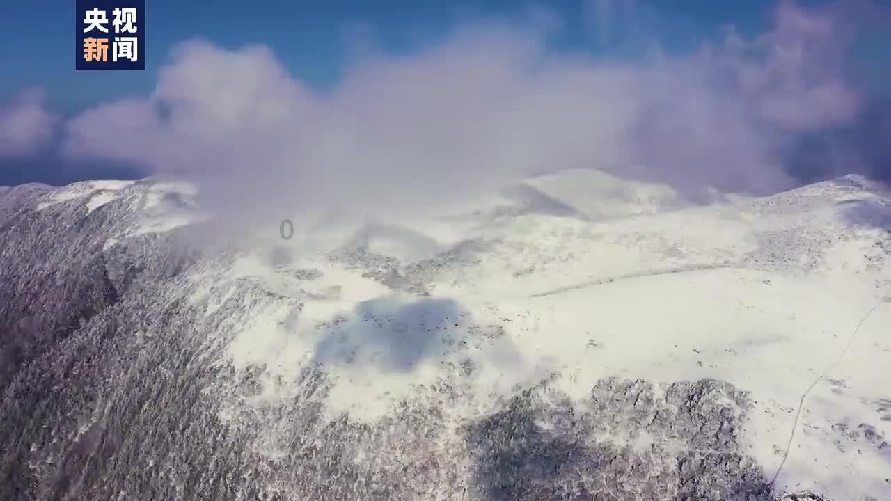 我的矿场